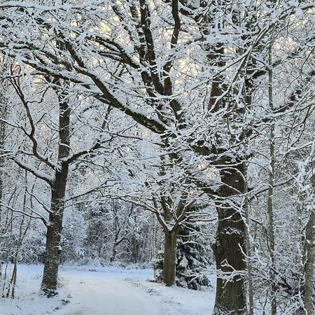 Uhtjaerve Uergoru Noiariik Hostel *