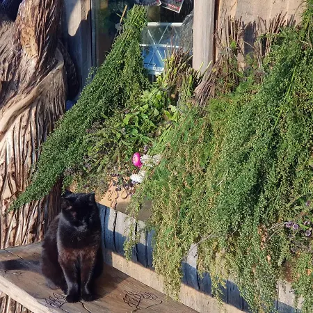 Uhtjaerve Uergoru Noiariik *