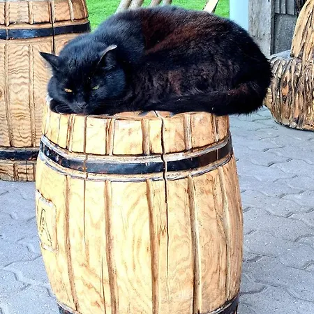 Hostel Uhtjaerve Uergoru Noiariik