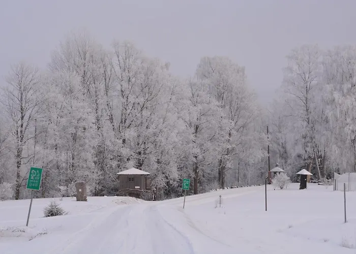 Hostel Uhtjaerve Uergoru Noiariik Oue