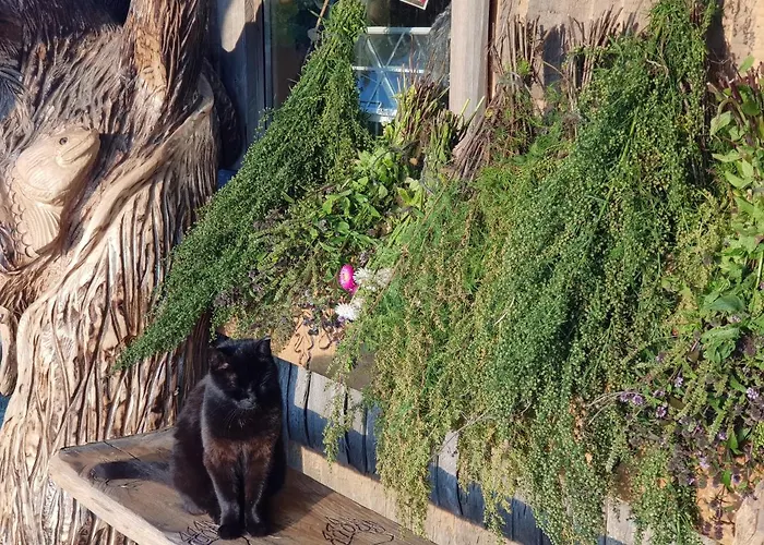 Uhtjaerve Uergoru Noiariik Oue *