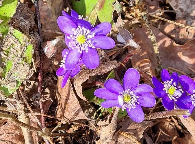 Hostel Uhtjaerve Uergoru Noiariik Oue Antsla