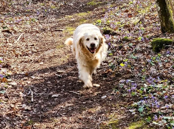 Hostel Uhtjaerve Uergoru Noiariik