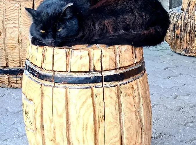 Hostel Uhtjaerve Uergoru Noiariik